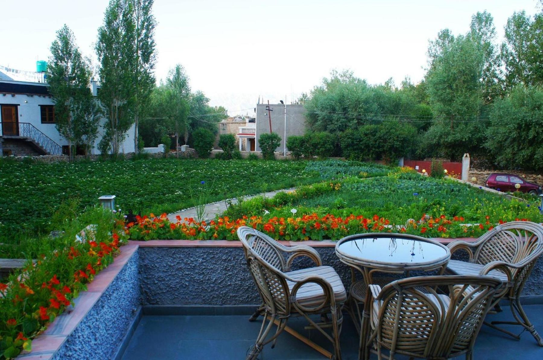 Silver Cloud Ladakh Λεχ Εξωτερικό φωτογραφία